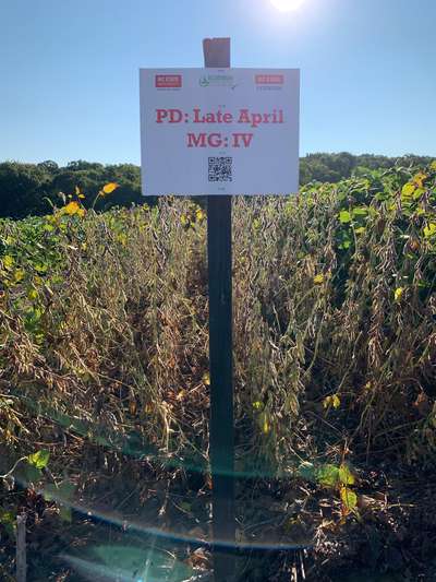 Photo showing the maturity group and planting date of these soybeans