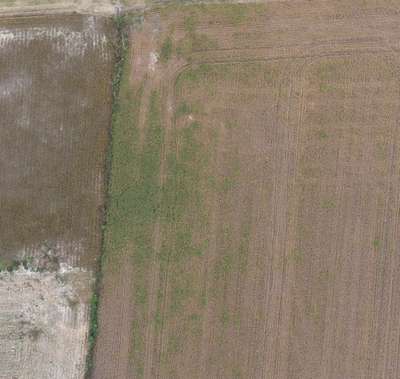 Affected field