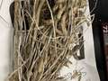 Soybean sample as it was received by clinic