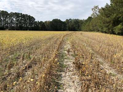 Affected field