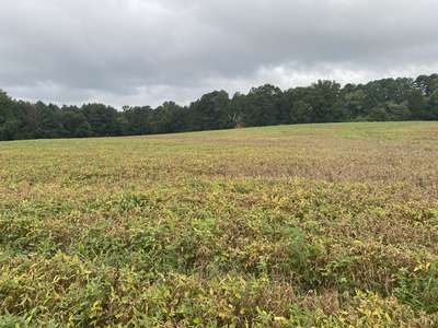 Affected field